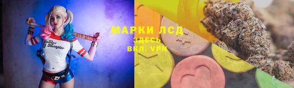 прущие грибы Сосновоборск