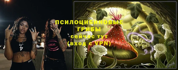 сатива Волосово