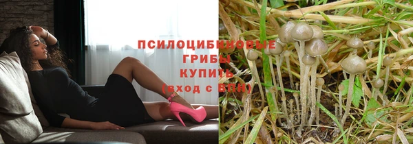 сатива Волосово